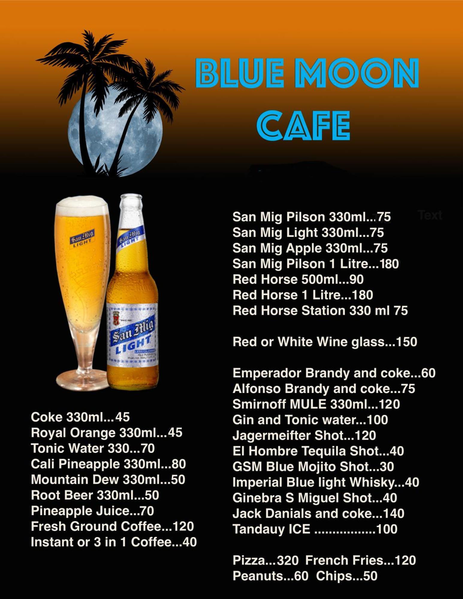 Blue Moon Guesthouse Пуэрто-Принцеса Экстерьер фото